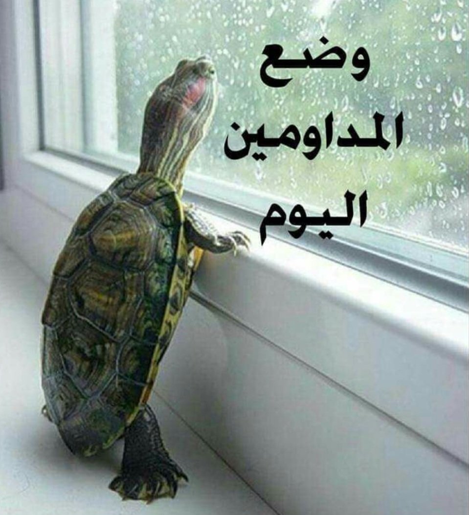 mazyonh tweet media