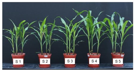 Fien Degryse tweet media