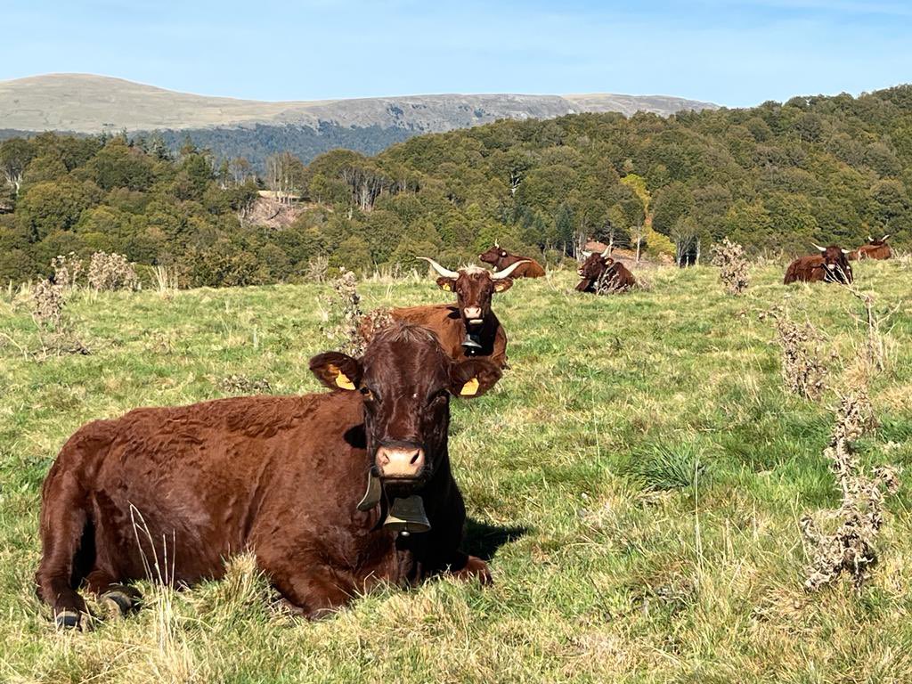 Valérie Verdier (@valverdier) on Twitter photo 