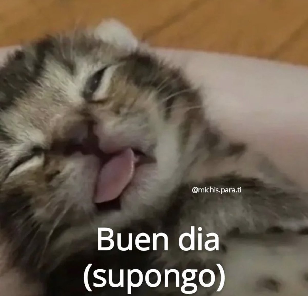 piña sin pizza (@skereunpesado) on Twitter photo 