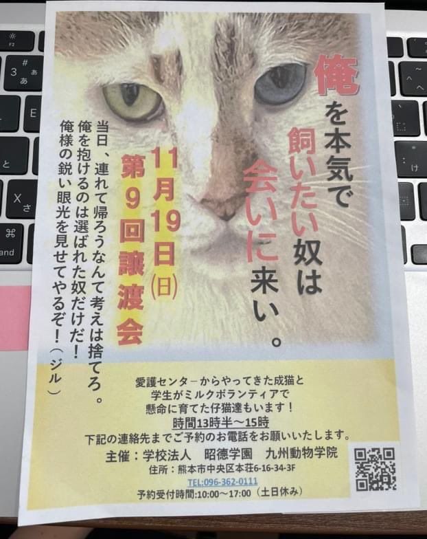 tomasu529's tweet photo. 熊本の郵便局にやべぇチラシが置いてあった。 https://t.co/hzZFftwHSL