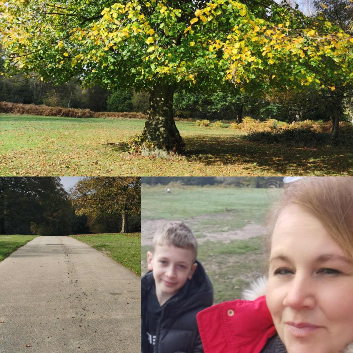 samsteele771's tweet photo. Yesterday was teacher training day we walked and talked ❤️ https://t.co/kGd9NO7IYQ