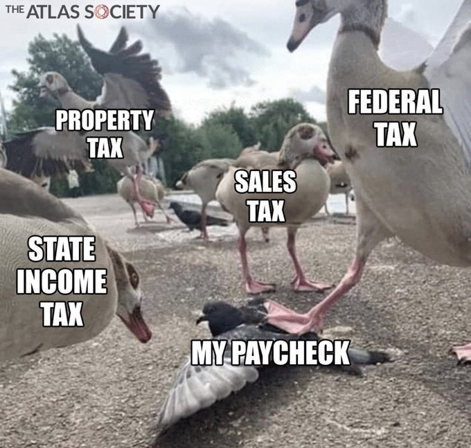 WallStreetMav's tweet photo. 👀 🚨 https://t.co/eAFQMjqQmT