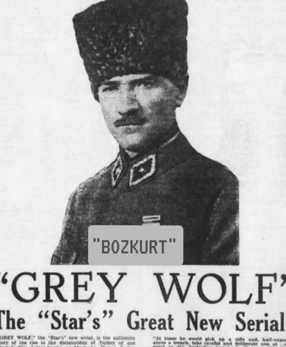 Saltuk Cabı tweet media