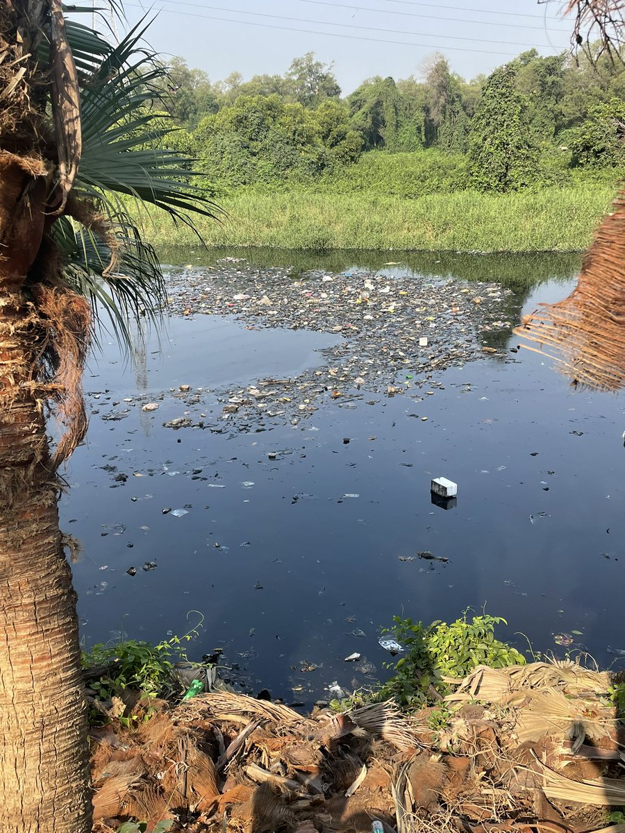 This is the backwater of #maladwest reduced to nothing but a filthy drain filled with plastic #saveoursea #arabiansea <a href="/AslamShaikh_MLA/">Aslam Shaikh, INC 🇮🇳</a> <a href="/iGopalShetty/">Gopal Shetty</a> please can we do something to protect the backwaters