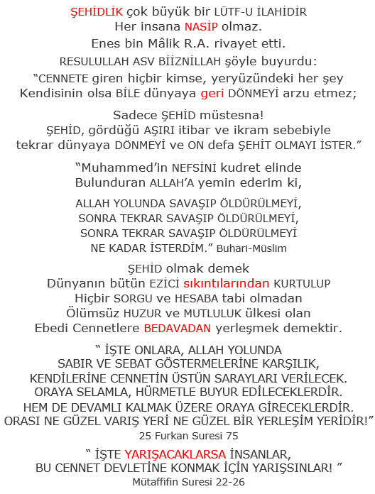turgutmeyvecii's tweet photo. @MehmetArdic_ https://t.co/OcrSjqJFRF