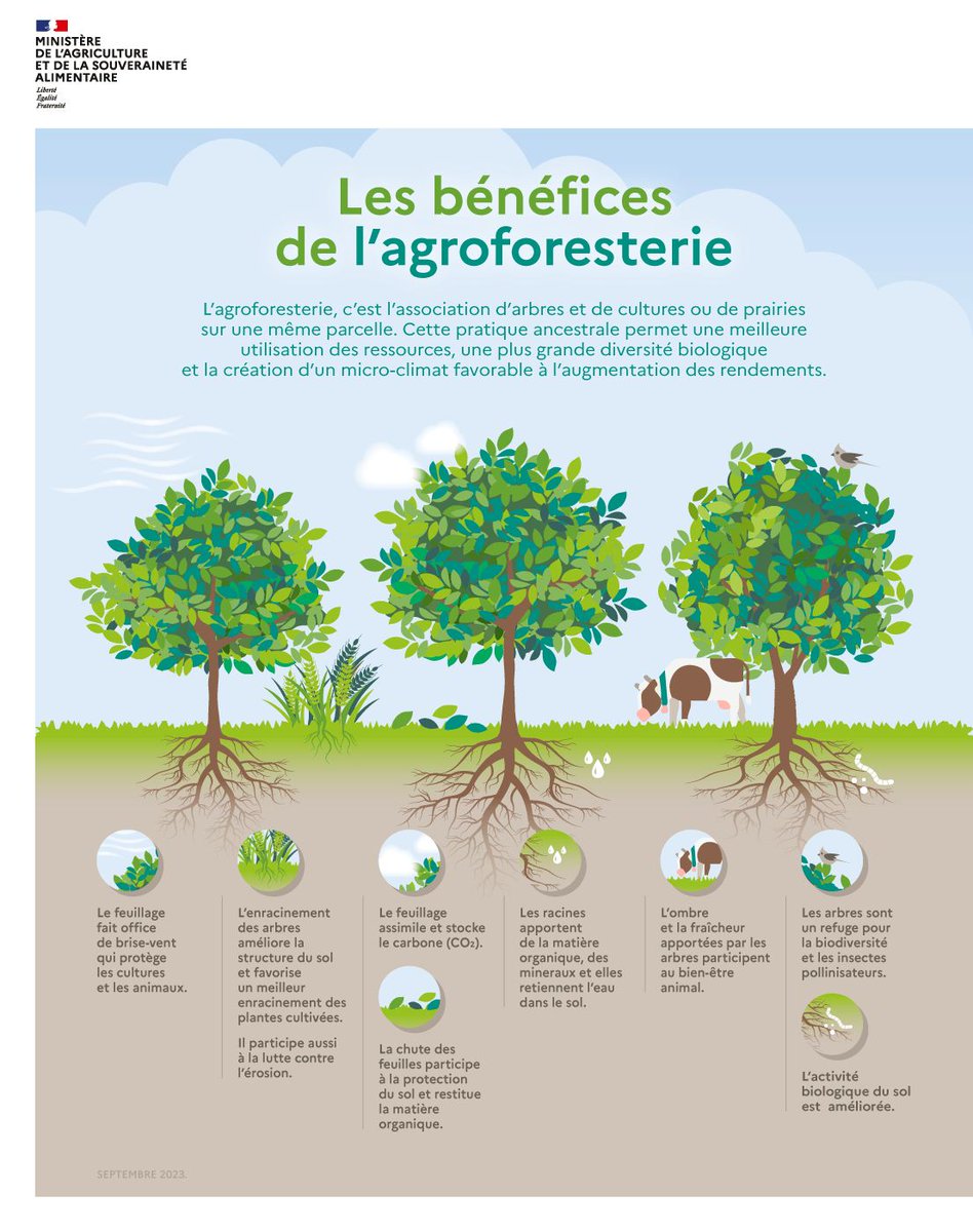 Agroforesterie's tweet photo. 🤔 L'#agroforesterie... à quoi ça sert ?

👉 Les #arbres et les #haies : un atout majeur pour l'#agriculture de demain. 🌳

Aujourd'hui, (re)découvrons avec @Agri_Gouv les multiples bienfaits des arbres dans nos systèmes agricoles ! https://t.co/42O30xPltU