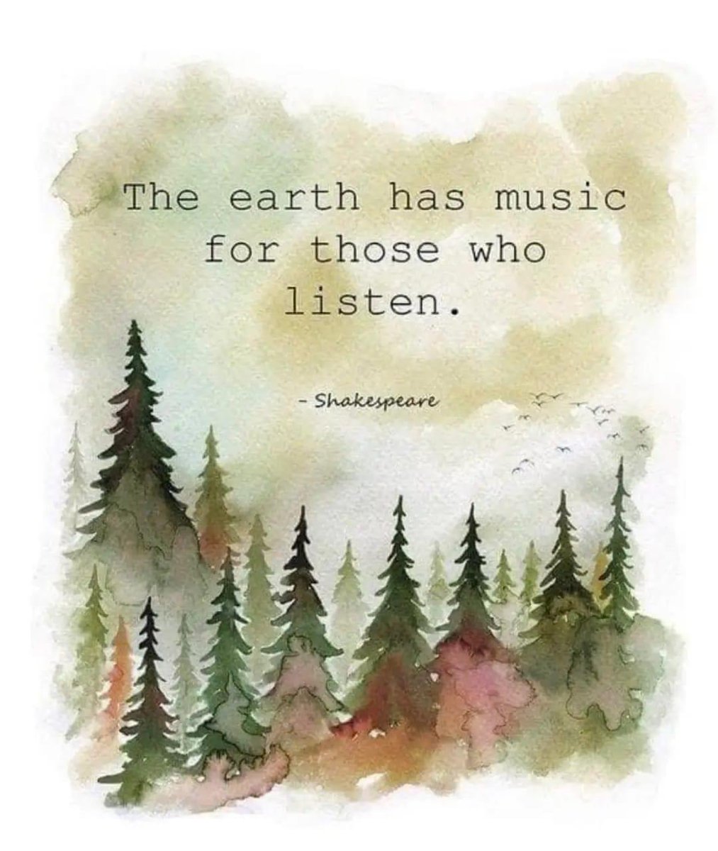“The earth has music for those who listen”

William Shakespeare 

#musicsensations #dj_adam_i_ #musiceverywhere #musicislife #musicishappiness #musiclovers #musicforyoursoul #neverstopplayingmusic #expressthroughmusic #musicunitespeople #fall2023 #musictherapy #djforlife