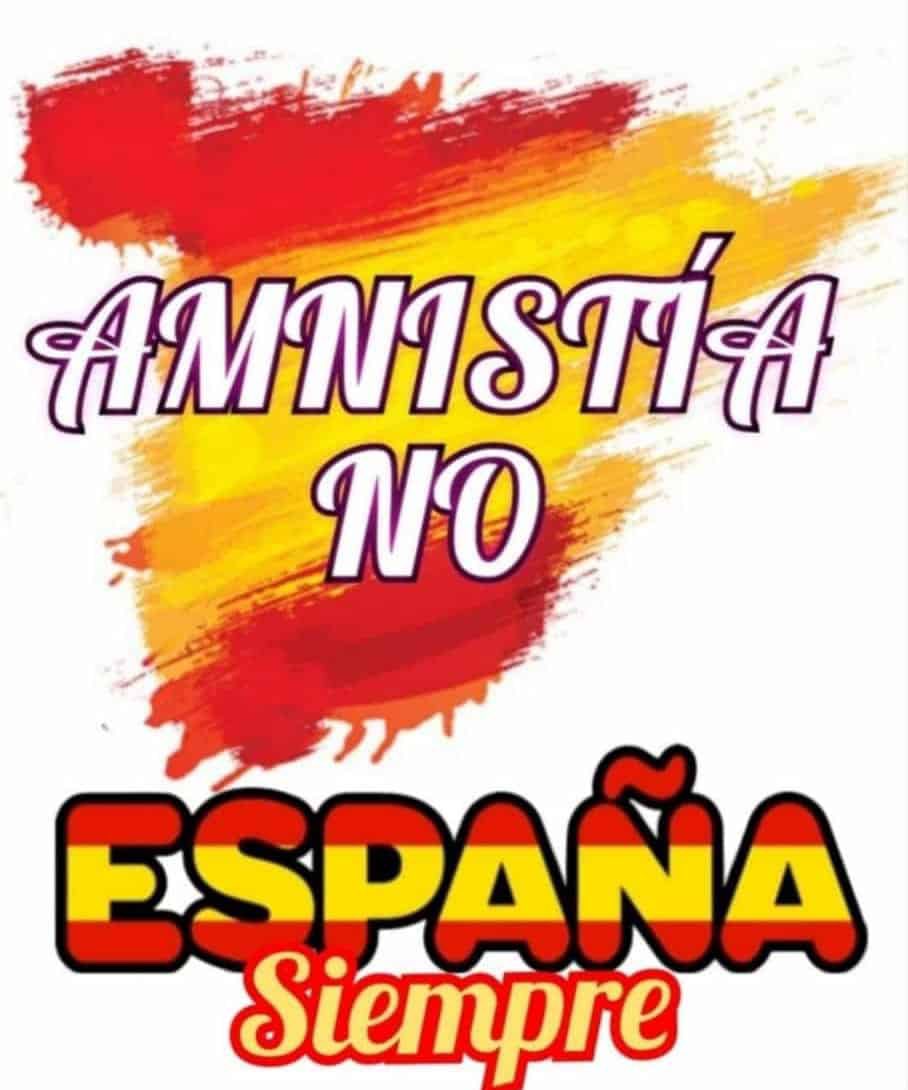 serggismith's tweet image. NO A LA AMNISTÍA Esto es un cambio de modelo de país junto a declarar Cataluña como NACIÓN, sin poder decidirlo todos los españoles y sin pasar por las urnas, debemos pararlo con protestas continuadas, algún partido político o políticos deberían ponerse al frente de esta causa