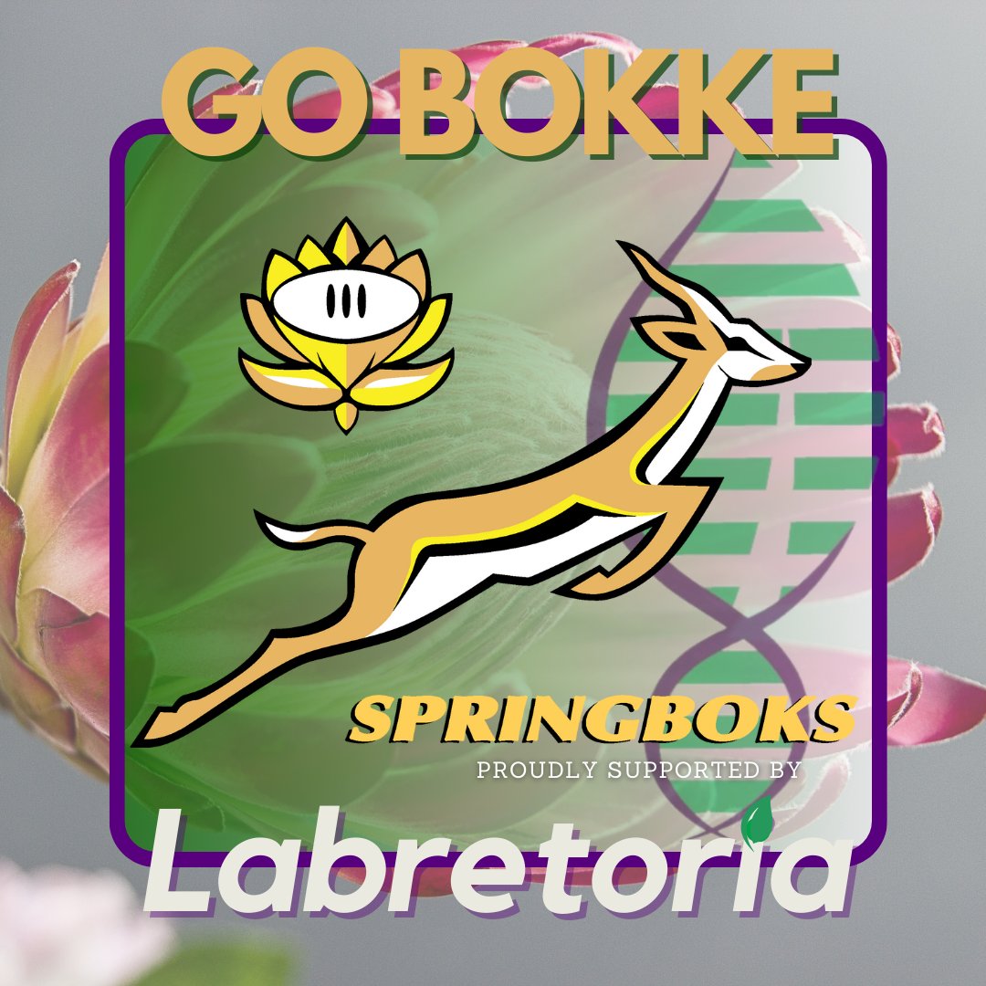 We're still reeling over the results from the Rugby World Cup semi-final on Saturday, but this weekend is one we’re all excited about.
All of us at labretoria.com will be showing our love and support for our Bokke!
Will you?
#labretoria #Springboks #Rugby #RWC #WorldCup