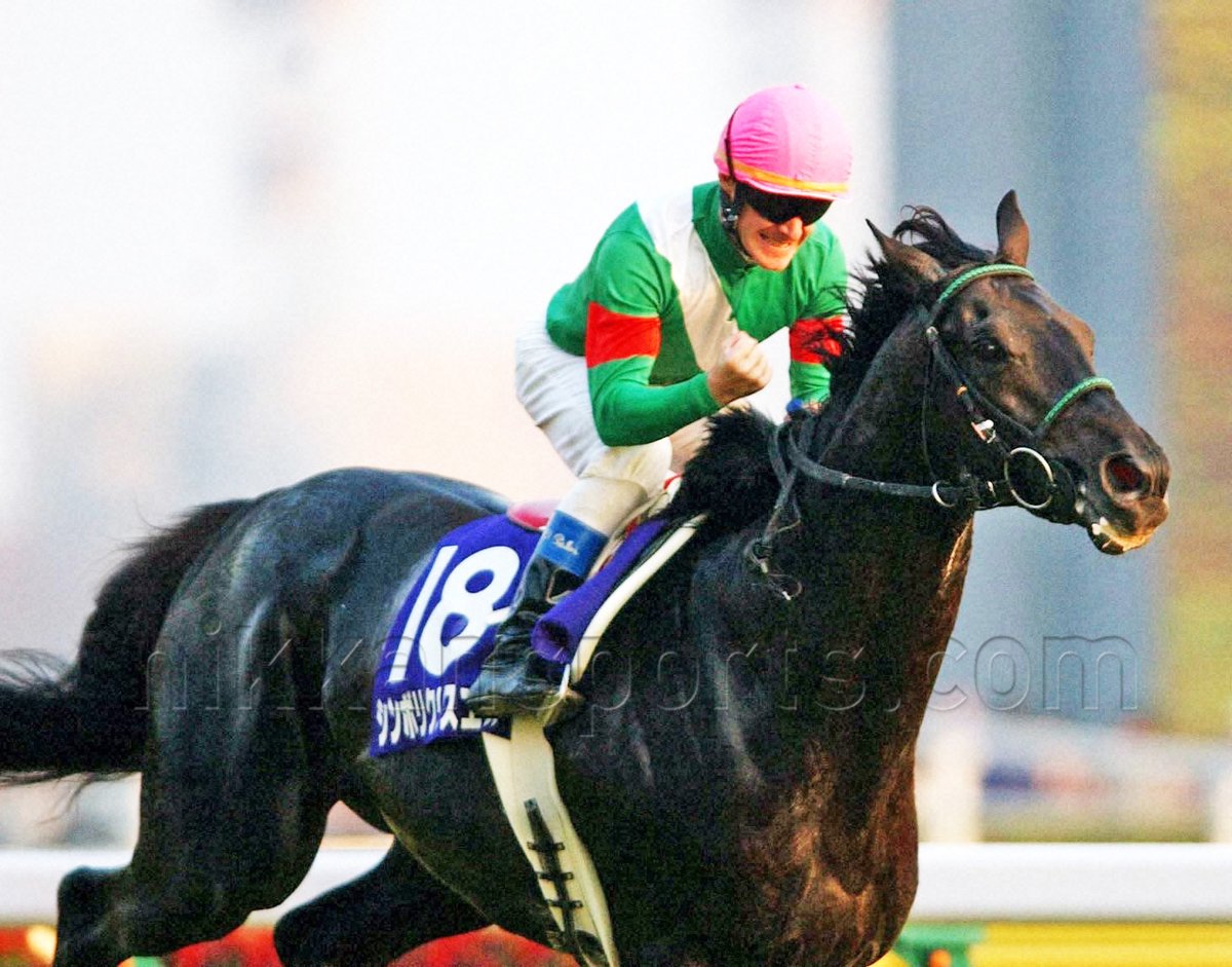 し*う様 シンボリクリスエス　シンボリ牧場　天皇賞　競馬　鉢 深皿 プレート　ナ 日刊スポーツ競馬 極ウマ【公式】 on X: 