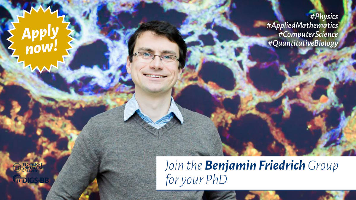digsbb's tweet image. Just 4 days #Physics #AppliedMath #QuantitativeBiology #BiologicalAlgorithms - Join @digsbb &amp;amp; @friedrich_group 4U PhD to study the mathematical modeling of cilia-based flow sensing in pancreatic duct network development. Apply:digs-bb.de/join by October 30th. @PoLDresden