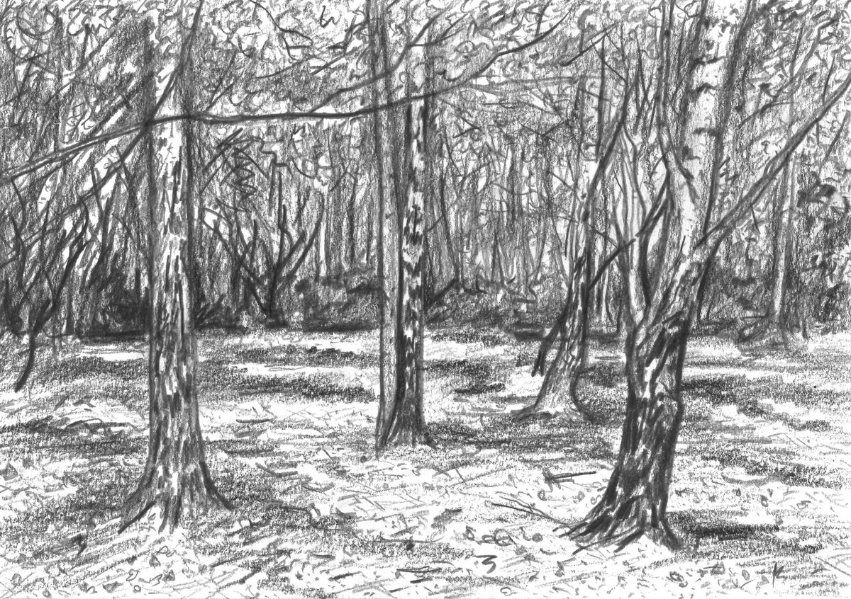 stephenharwood's tweet photo. I'm showing two small drawings exploring the stranger aspects of Wick Woods, Hackney in 'Missives' curated by JAW at Platforms Project Art Fair, Athens 26-29th Oct.
#eastlondon #hackney #hackneymarshes #wickwoods #wickwoodland #athens #artfair #artistled
https://t.co/qSaJbcrN89 https://t.co/IGCRgwwuZc