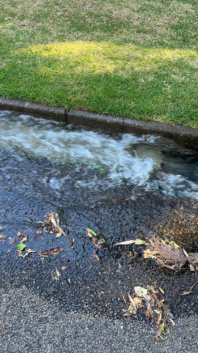 DeborahColdham's tweet photo. @JHBWater please send team water is pouring down Kent Road (between Oxford &amp; Jan Smuts) Dunkeld West https://t.co/feJG2mf0Og