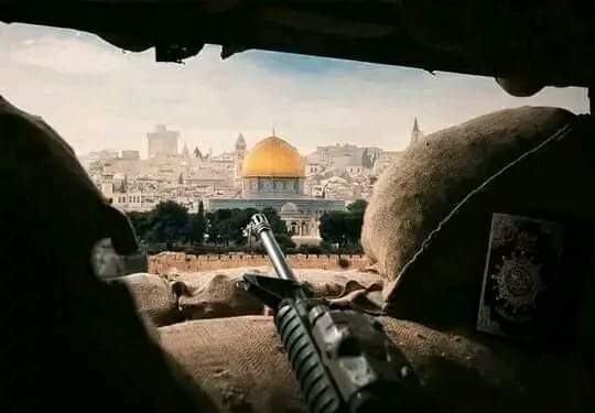 madinapjr321's tweet image. #غمگین مباش از دیدن آوارهایت🇵🇸
فردای آبادیِ تو زیباست، #غزه🇵🇸

حتی اگر #پرپر شود هر گل که داری🇵🇸
تا هست دنیا #پرچمت بالاست،غزه🇵🇸