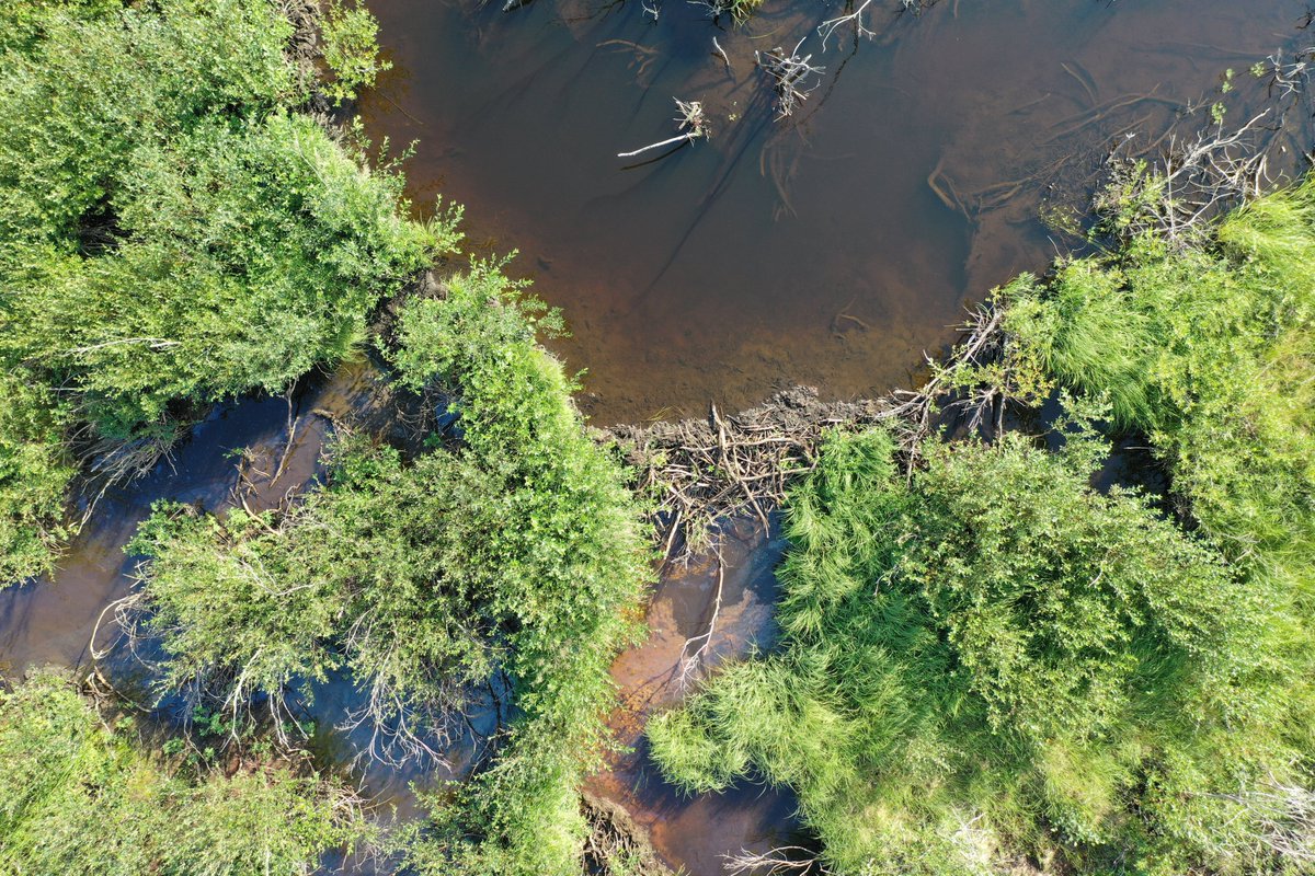 This month, our focus is on the #BARIN project. Funded by @POLARCanada ,@FRQ_NT and @UKRI_News ,the project aims to understand the impacts of increasing populations of beavers across the Inuvialuit Settlement Region (ISR) in Inuit Nunangat. 👉bit.ly/3Mc9WVe