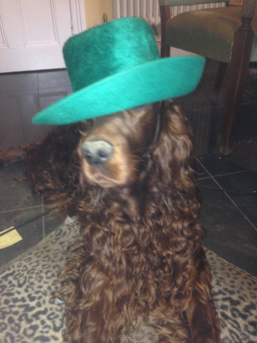 RedDog_AV's tweet image. What to wear to @WGWGothWeekend option 1: Green Trilby at a jaunty angle