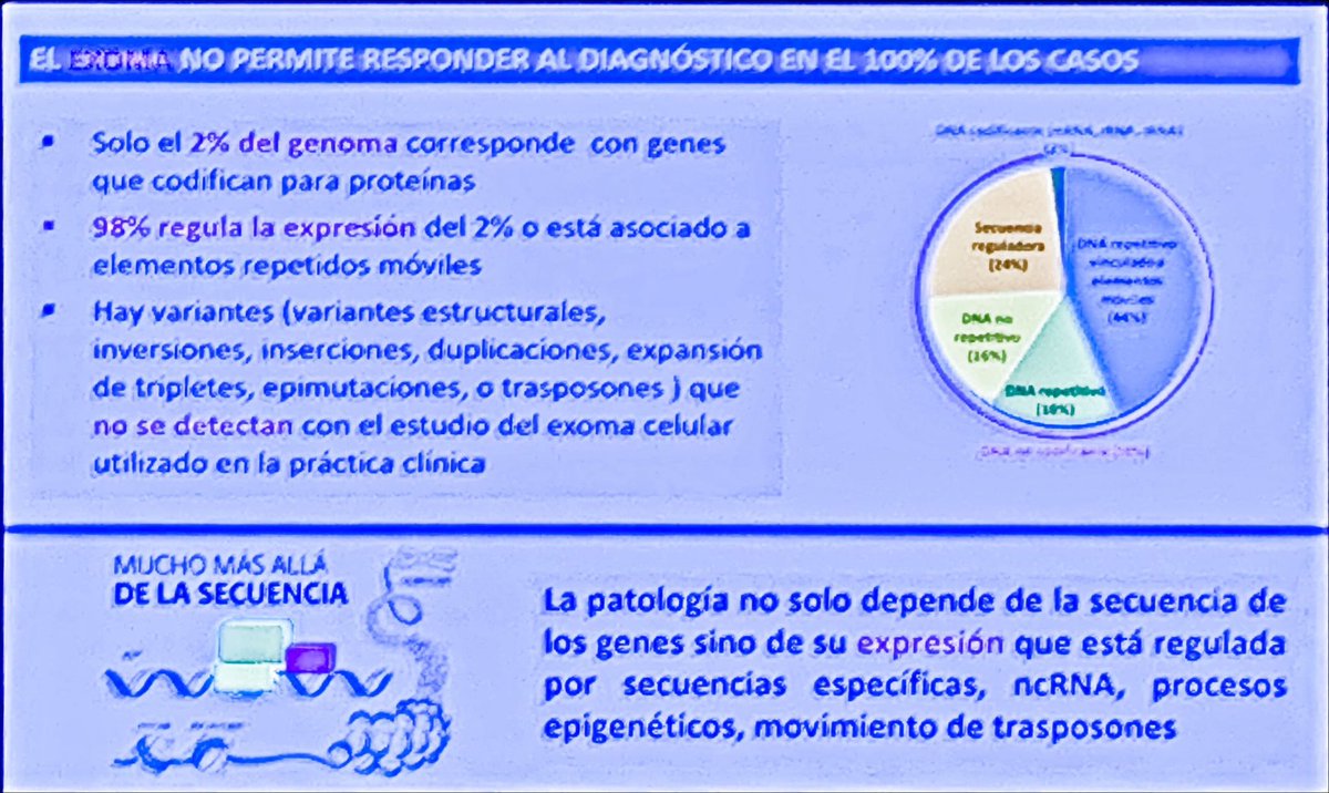 ElenaDF75's tweet photo. Cuando la genética 🧬 sigue dando sorpresas 
@BelenPerezGlez 

El #exoma no da respuesta al diagnóstico de todas las enfermedades 
- mutaciones intrónicas son variantes que no se detectan 

Usamos #genomas? 
 @Aecom_EIM https://t.co/xz41GD6aG8