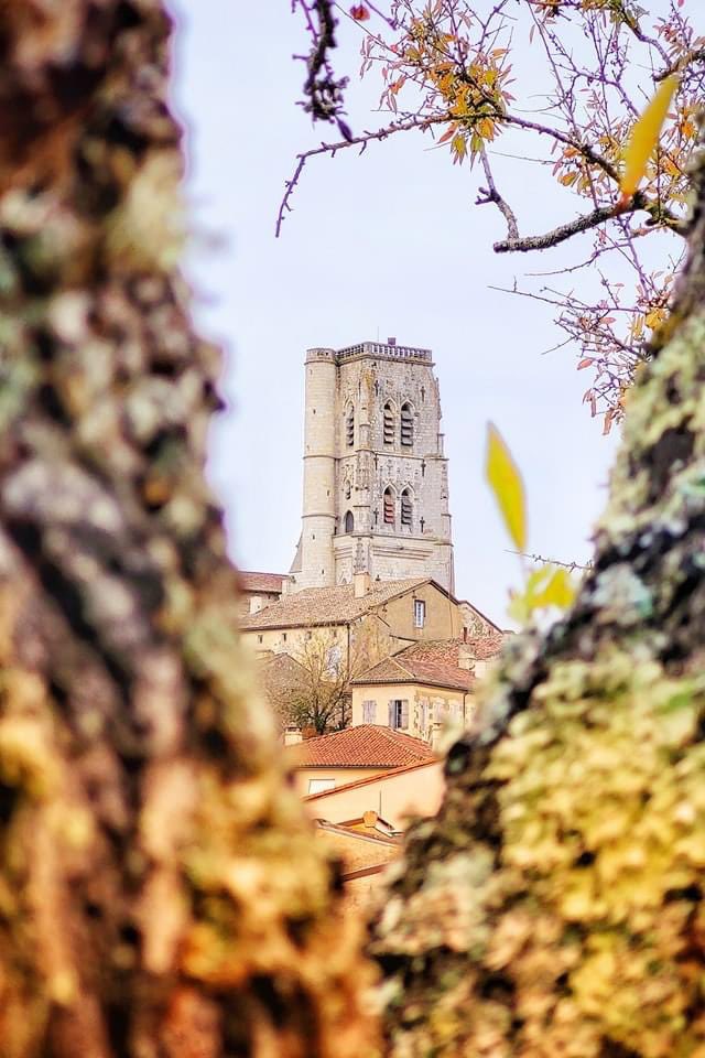 #JeudiPhoto | Quand notre cathédrale se fond dans les couleurs de l’automne....ça veut dire que la Saint-Martin n’est pas loin !

📸 Fiona Demichelis/Ville de Lectoure