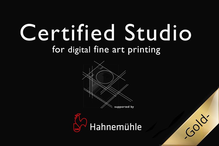 Color3arte's tweet photo. Hoy estamos contentos y emocionados. Ya hemos recibido la placa y el certificado que nos acredita como un Estudio Certificado de Hahnemühle para la impresión digital para bellas artes.Color3Arte #ArteImpreso #FineArtGiclée #Hahnemühle #PasiónPorElArte
#ilustración https://t.co/jAf3KqtZt6