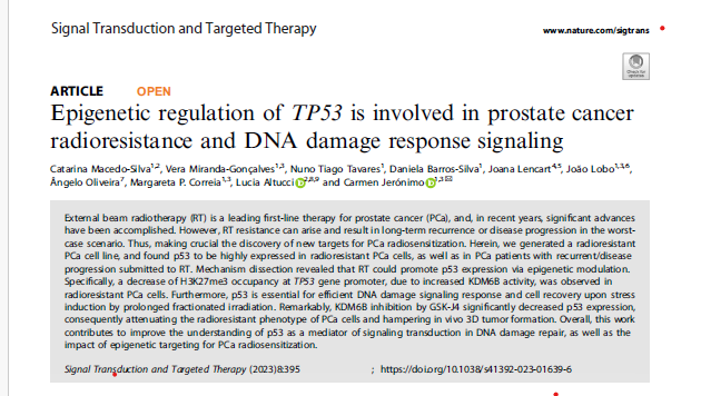 Carmen Jerónimo (@prof_cjeronimo) on Twitter photo I am thrilled to share with you our most recent publication in the prestigious journal Signal Transduction and Targeted Therapy (IF: 38.104).
<a href="/GEBC_IPOPorto/">Cancer Biology & Epigenetics Group_IPO Porto</a> <a href="/IPOPorto/">IPO Porto</a> <a href="/ICBAS_UPorto/">Instituto de Ciências Biomédicas Abel Salazar UP</a> <a href="/RISEHealthPT/">RISE - Health Research Network</a> I am thrilled to share with you our most recent publication in the prestigious journal Signal Transduction and Targeted Therapy (IF: 38.104).
<a href="/GEBC_IPOPorto/">Cancer Biology & Epigenetics Group_IPO Porto</a> <a href="/IPOPorto/">IPO Porto</a> <a href="/ICBAS_UPorto/">Instituto de Ciências Biomédicas Abel Salazar UP</a> <a href="/RISEHealthPT/">RISE - Health Research Network</a>