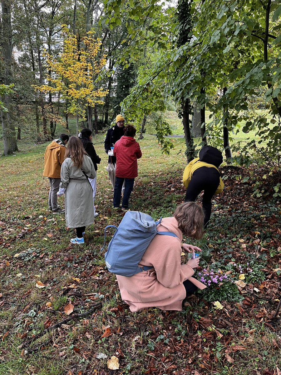 UVSQ_Research's tweet photo. Rdv aujourd’hui à l’@ILV_UMR8180 @uvsq pour les visites olfactives avec Julie C. Fortier et @Vol_de_Nuit_333 dans le cadre de #Curiositas. Sur le campus des sciences, de nombreuses plantes à récolter #odeurs #parfums #nez #arts #sciences https://t.co/Kz5C7g17uT