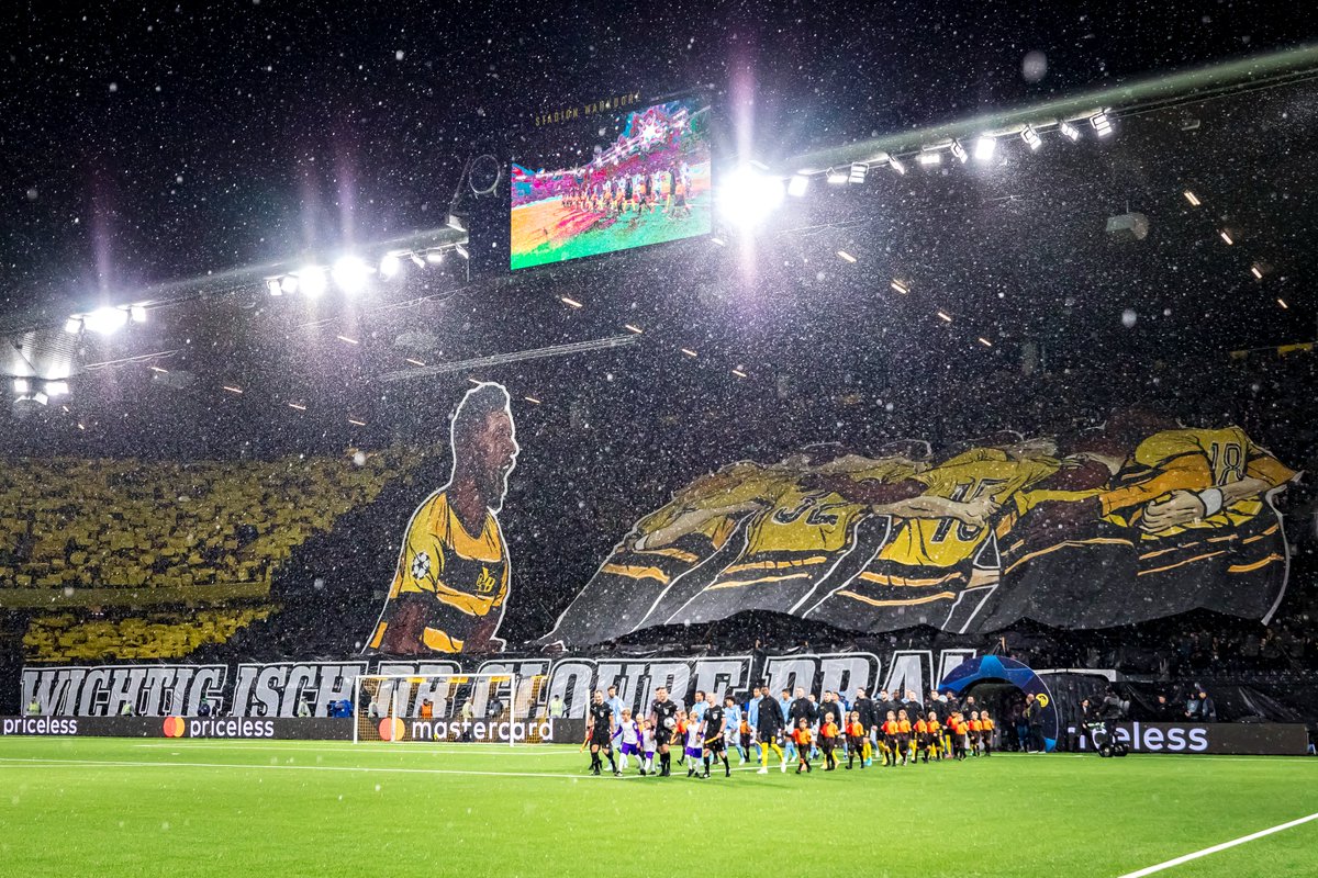 BSC_YB tweet picture