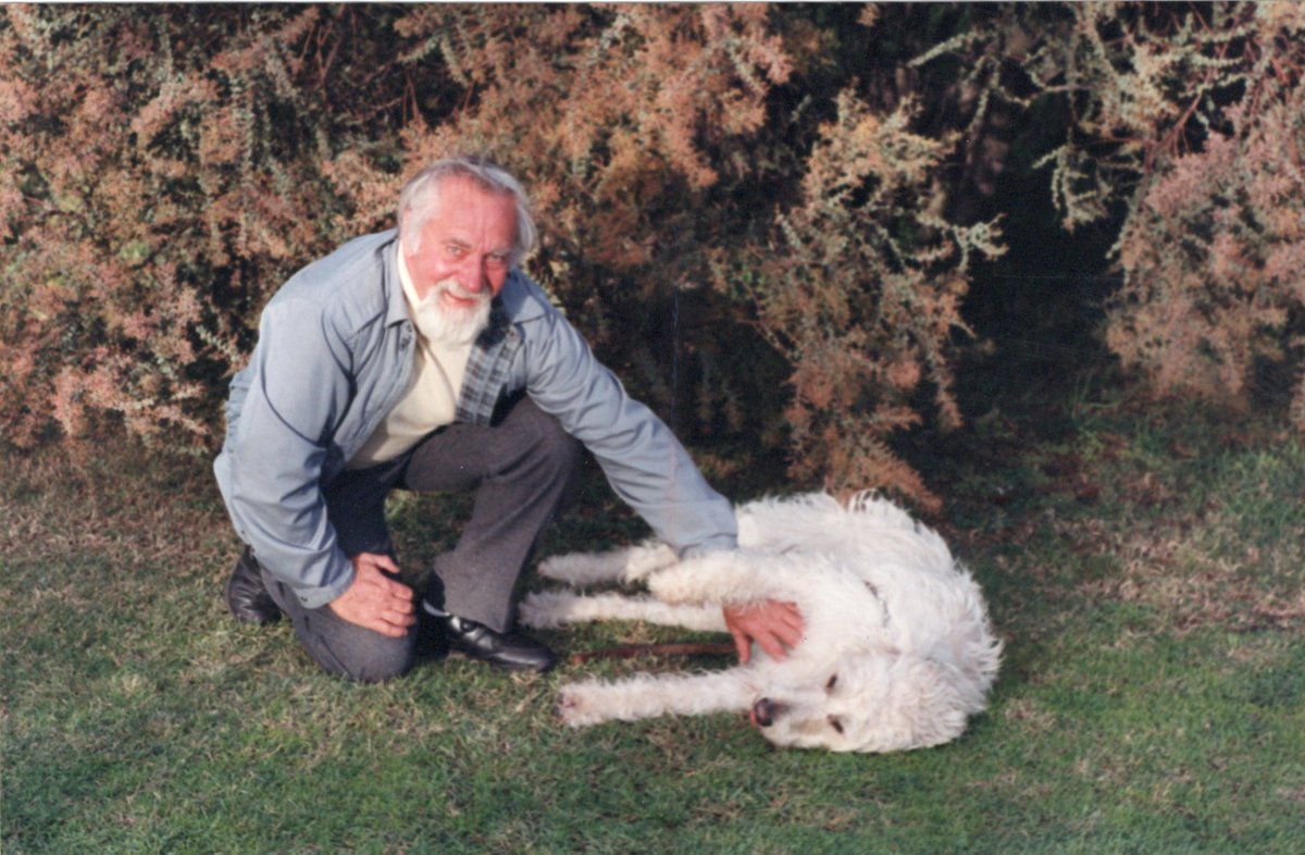 Sultan and his two furry brothers were the first ever labradoodles.

In 1989, Wally Conron bred together a poodle and a Labrador, creating one of the world's best-loved breeds. So why does Wally think he'd made a "Frankenstein's monster"?

🎧 bbc.in/3QvhBQU
