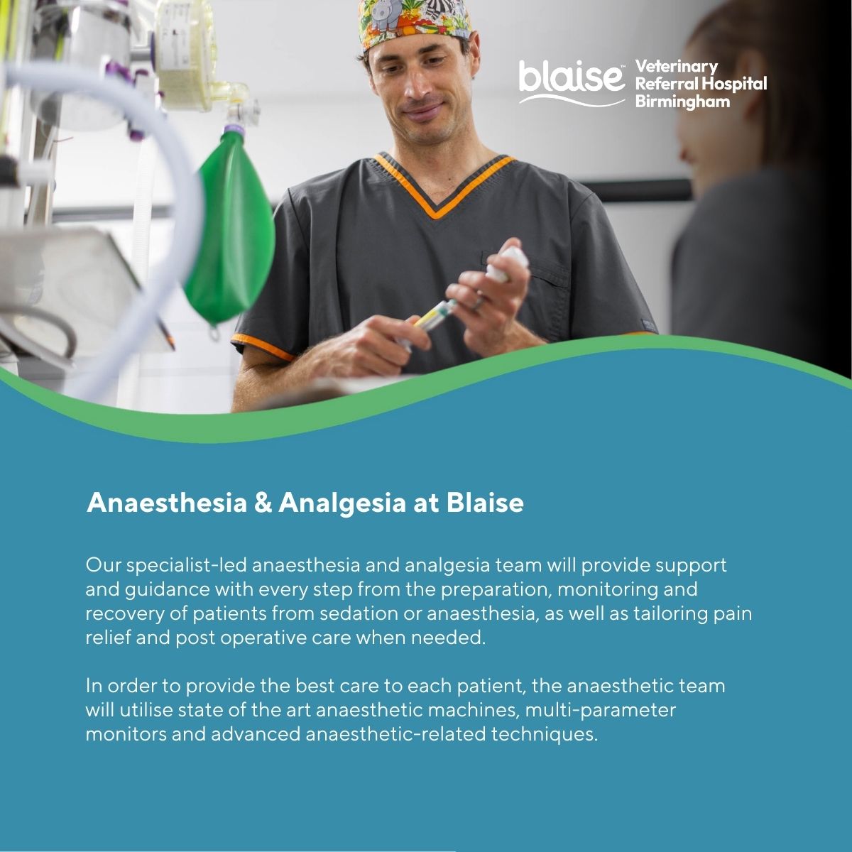 Blaise Veterinary Referral Hospital Birmingham tweet media