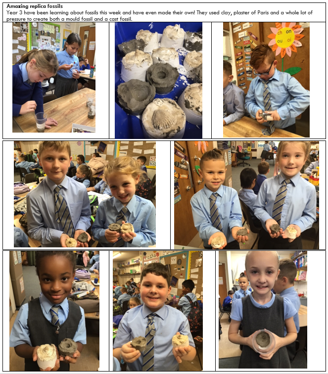 StMarysCPSch's tweet photo. https://t.co/xUrHp4gPaT