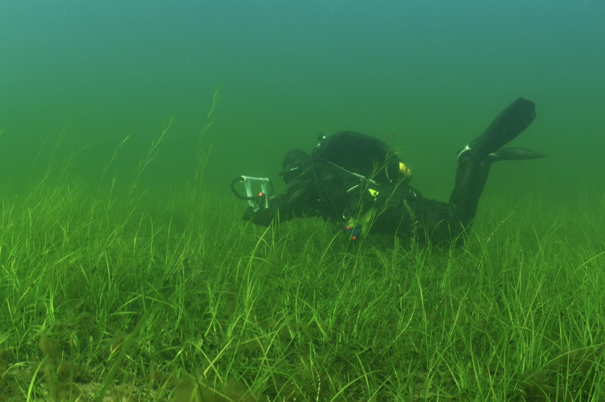 Luontopalvelut tweet media