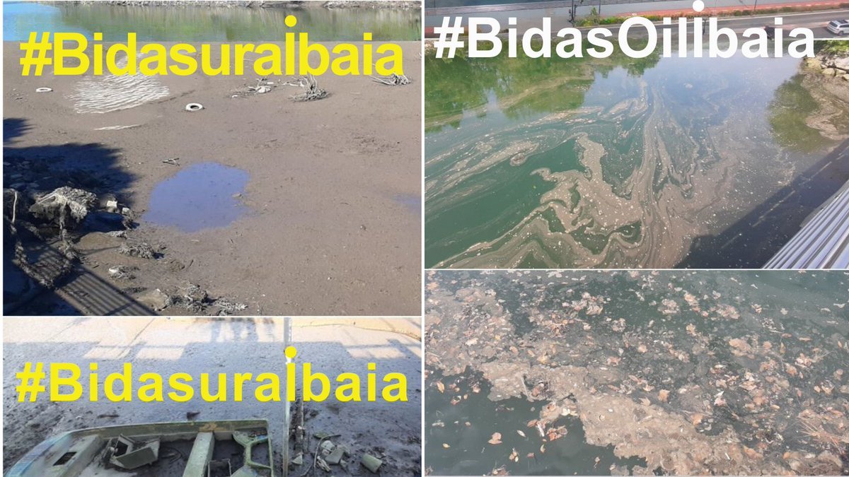 artiakolagunak's tweet photo. @Irun_Informa eta bere #Alkatea @jasantano #Irungo #Bidasoaren erriberaren #Birnaturalizazioa eta #Garbiketa saltzen dute.
Aldi berean, bizkarra eman diete #Administrazio guztien isilpean #Bidasoak jasaten dituen #Zabor eta #Isurketa jarraiei.
Hau #Bidasura #BidasOil #Ibaia da‼️ https://t.co/M2ryXw1mkU