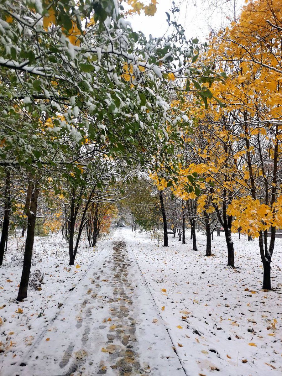 Когда встречаются осень и зима, всегда красиво 🍁❄️