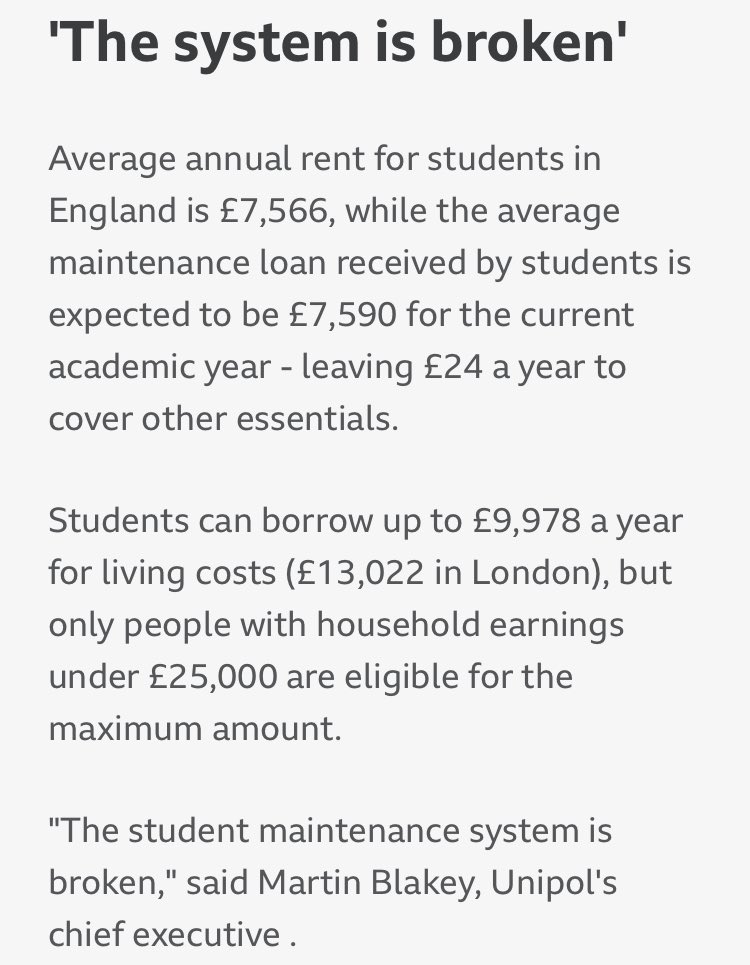 Loren M 🐝 🌱💙 tweet media