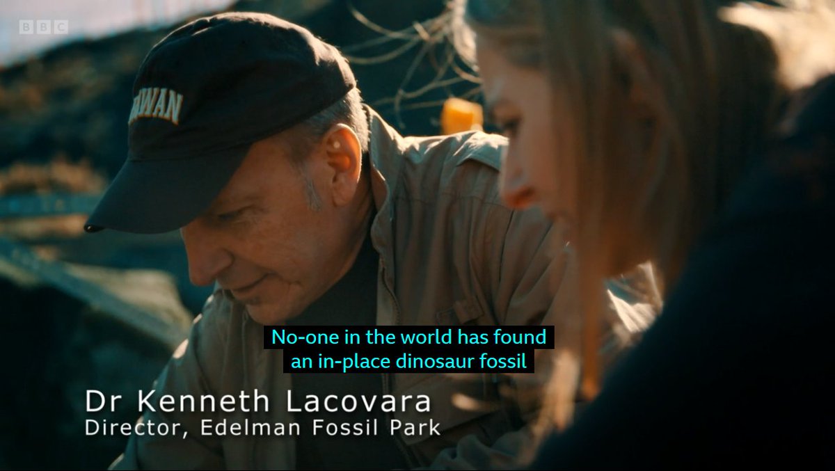 RegTheDude's tweet image. What do experienced palaeontologists say about dinosaur fossils and the K-Pg boundary?