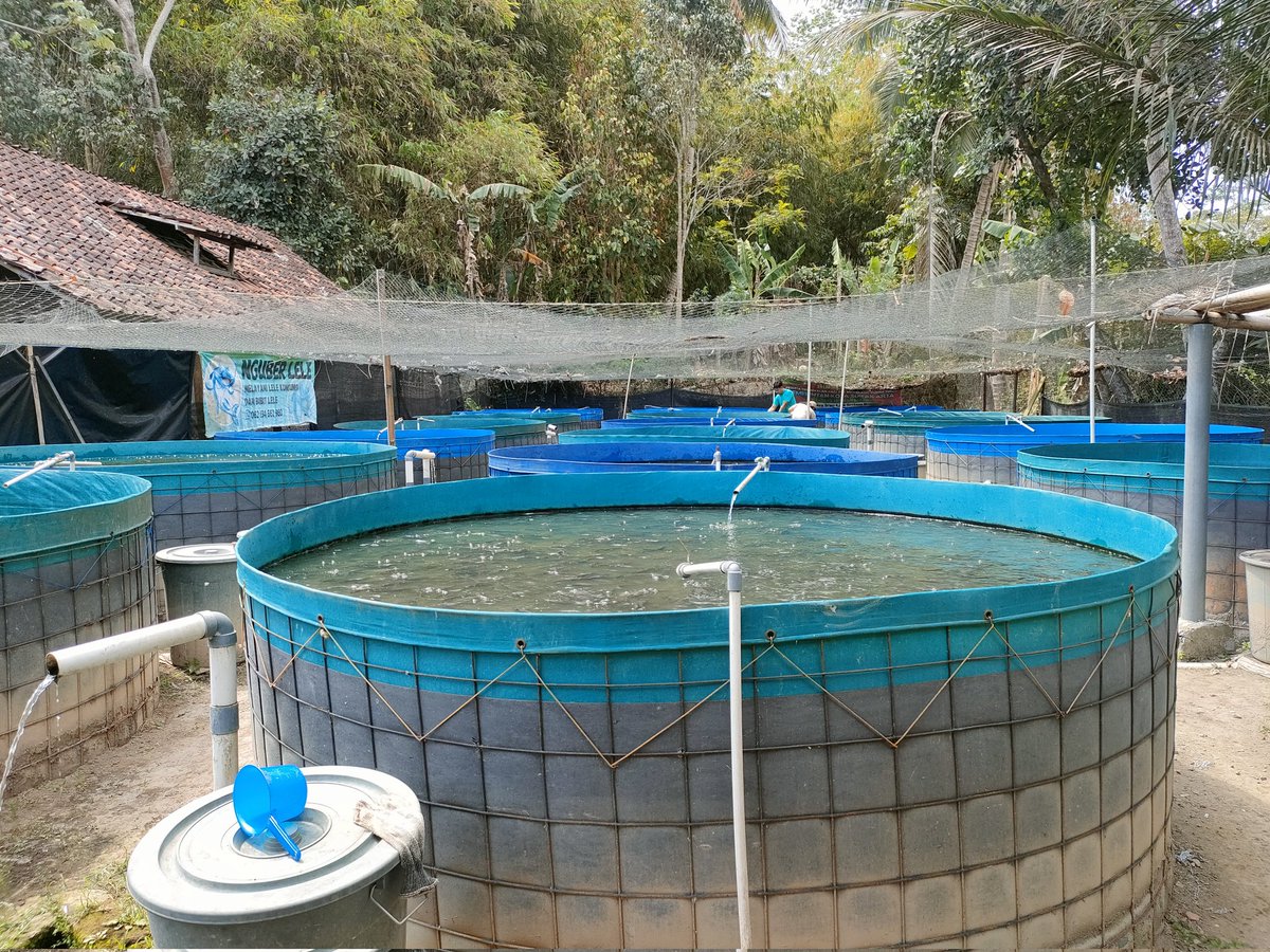 Nurfitrianijafar tweet media