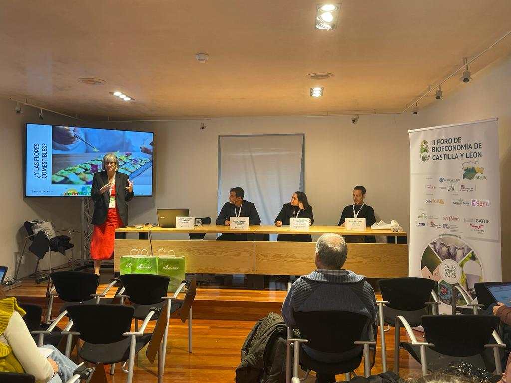 FCesefor's tweet photo. #Bioeconomía con empresas: Encuentro temático Bioinnovación en el sector alimentario: @innoflower, #Agerpix, @Agrimetrics y #Remolonas
#ForoBioeconomía23 https://t.co/TZmGaesnb2