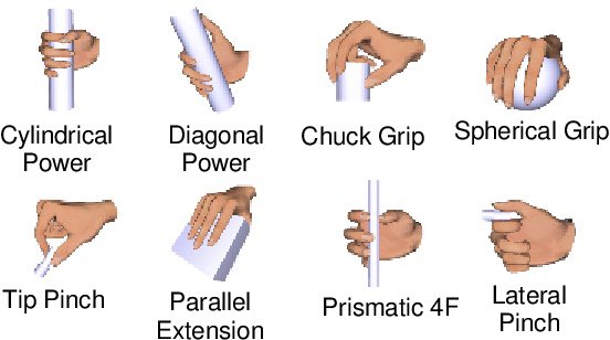 JackKrucial's tweet image. GRIP TRAINING = VARIETY IS KING. 

Your hands are built for more than just gripping barbells with clenched fists. 

Your fingers are build to work in a variety of ways: 
- Clench 
- Pinch 
- Index Claw 

You can also use a variety of equipment to provide your hands and forearms…