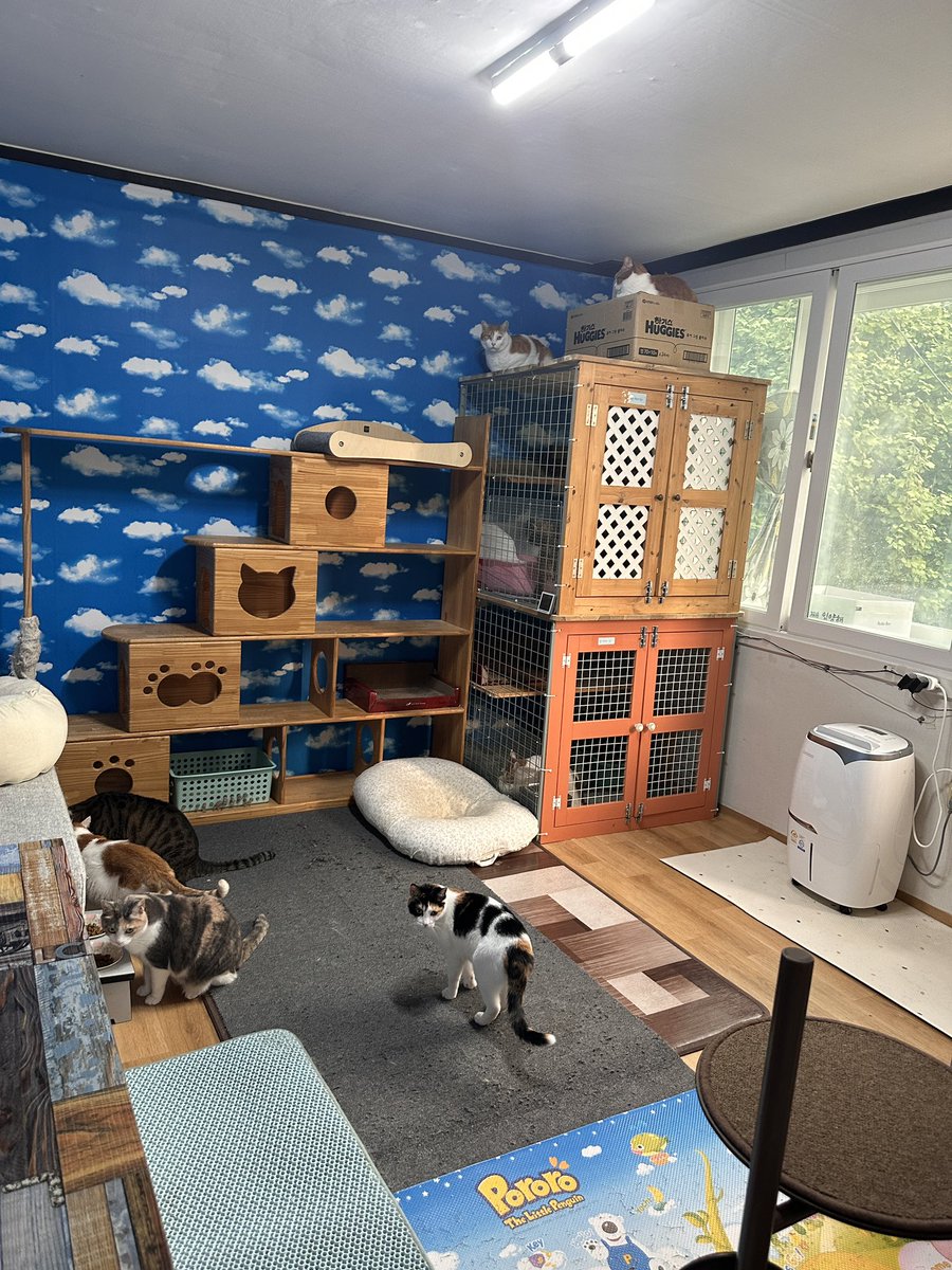 mirror_cat_'s tweet photo. 2쉼터식사시간 https://t.co/ChnIevsXJ2
