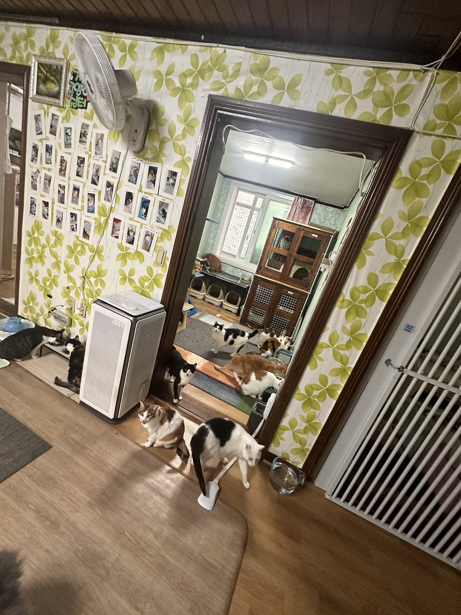 mirror_cat_'s tweet photo. 2쉼터식사시간 https://t.co/ChnIevsXJ2