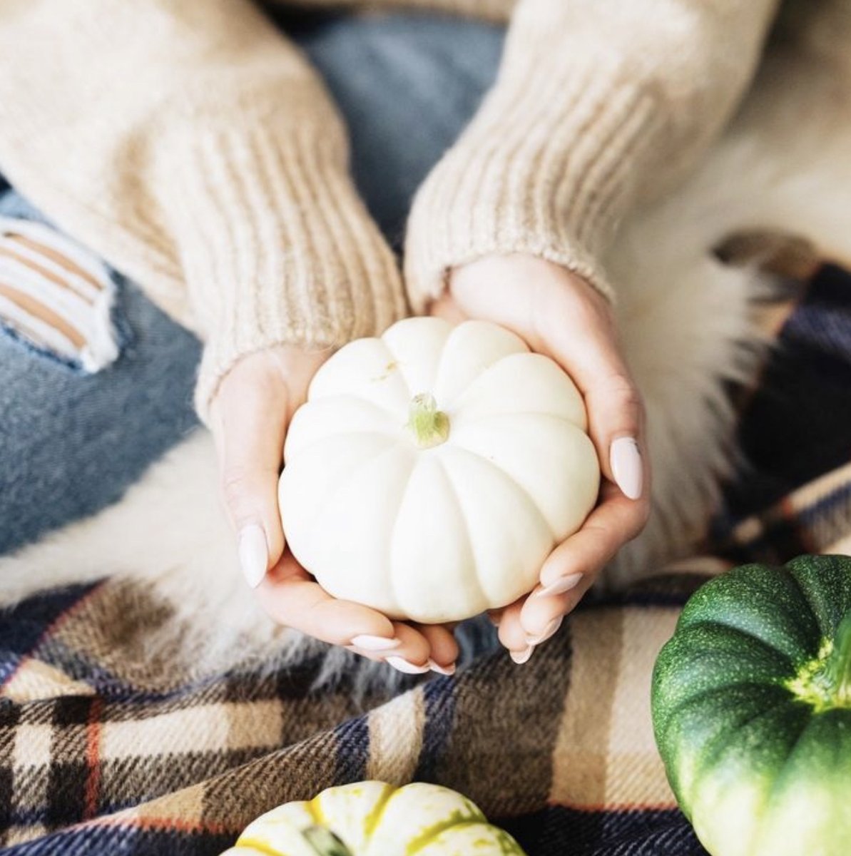 sarahstonecom's tweet photo. It’s National Pumpkin day in the UK today!  And pumpkins are bang in trend this year all through autumn and beyond. 

Seasons are very meaningful in feng shui, and the fall is one that is full of prosperity and good fortune symbolism.  In the west, many homeowners like to decorat https://t.co/oUxdyRXIGZ