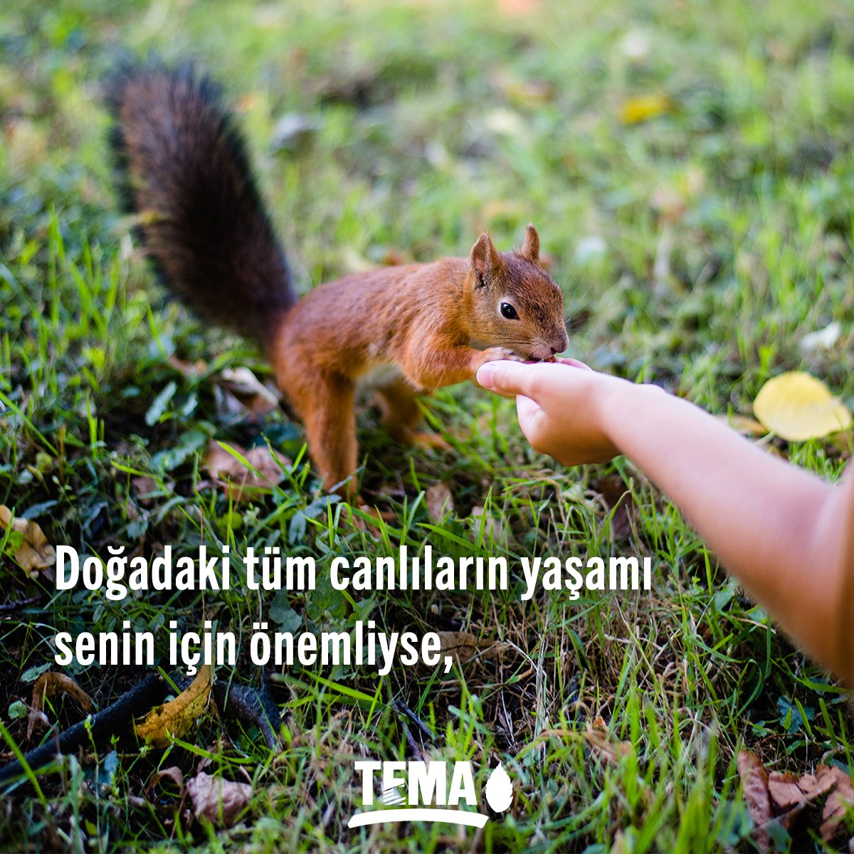 🌾 Hem toprağın hem de bu topraklarda emek veren herkesin yanındaysan ve
🐿 Doğadaki tüm canlıların yaşamı senin için önemliyse,