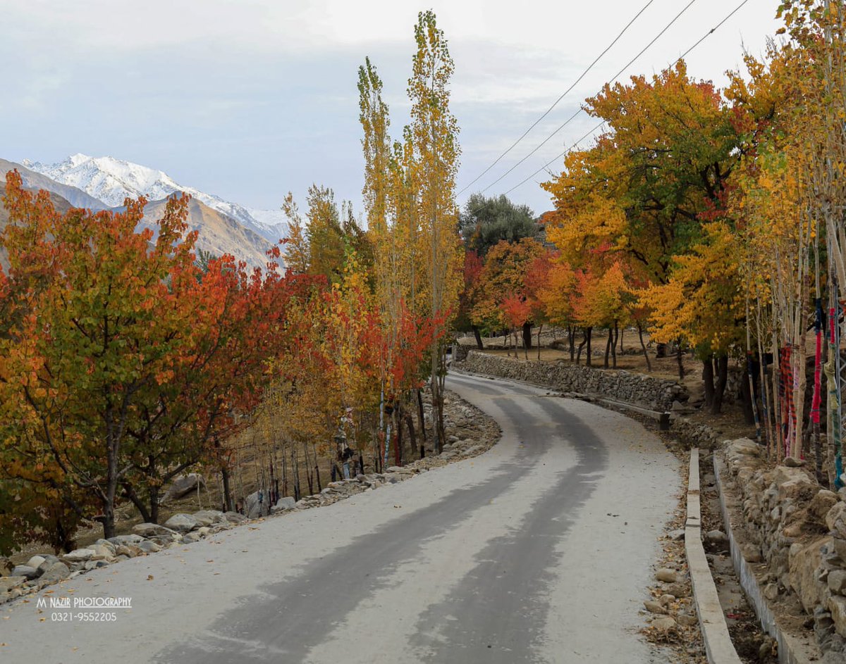 Golden Skardu Pakistan 
Welcome to explore autumn