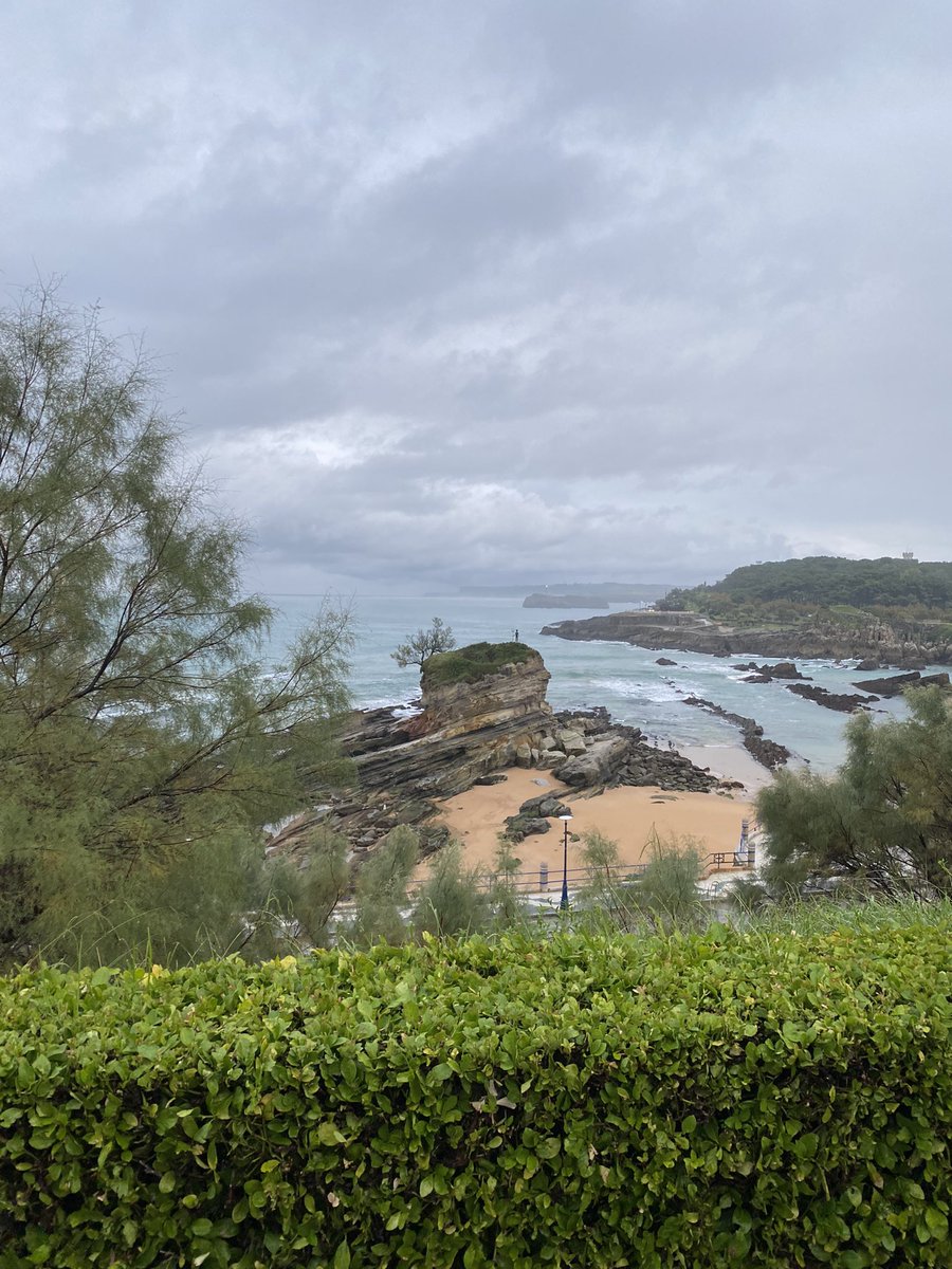 Rosa Ibán tweet media