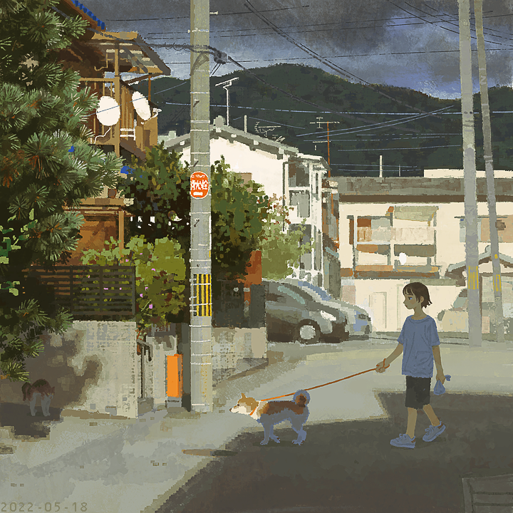 J_KMOR's tweet photo. 犬の散歩 https://t.co/zNzKmvgNus