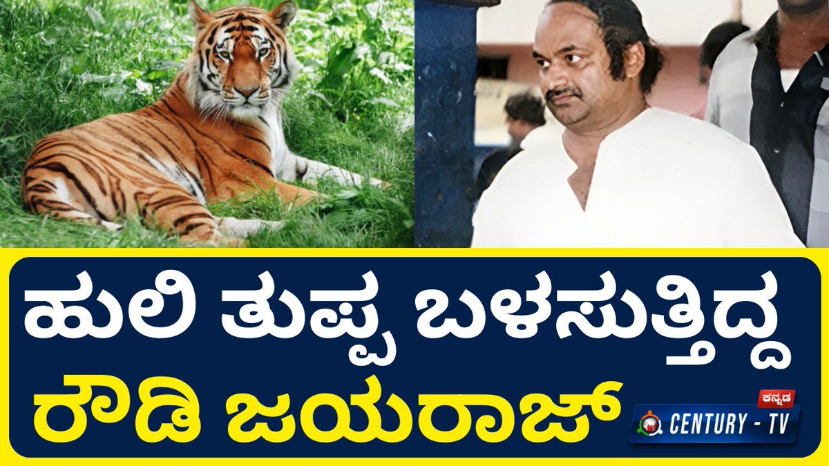 M. P. Jayaraj | ಹುಲಿ ತುಪ್ಪ ಬಳಸುತ್ತಿದ್ದ ರೌಡಿ ಜಯರಾಜ್ | Tiger Milk |Tiger Claw Case |   Century TV
youtu.be/-GNg9lcI7KU?si…
#donjayaraj #mpjayaraj #tigerclaw #deadlysoma #tigermilk #milk #kotwalramachandra #muttapparai #thigalarapetgopi #headbushmovie #tigerclaw  #tiger  #tigers