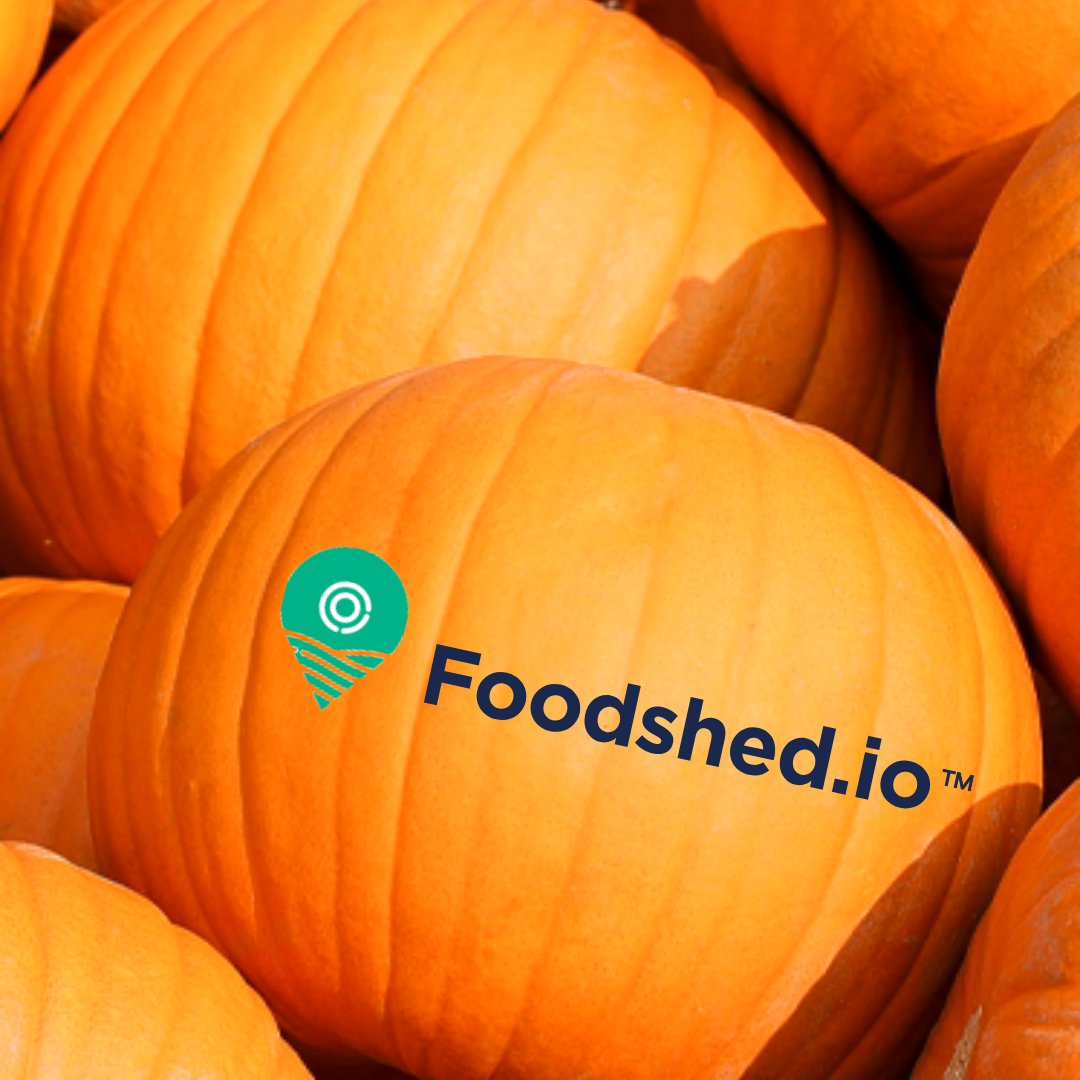 foodshed_io's tweet image. Happy to supply all the pumpkins for your Jack-o-Lantern needs! 

#localpumpkins #Fall #halloween #farmtotable #local #farm #knowyourfoodshed