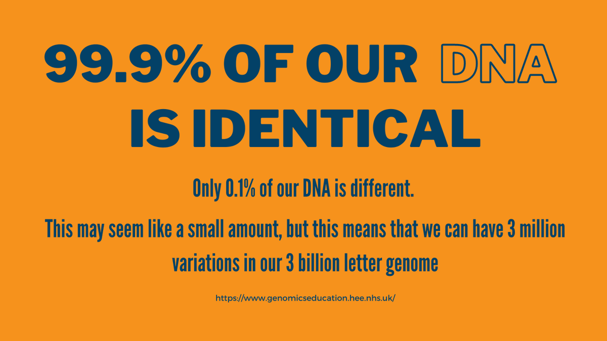 Did you know only 0.1% of our DNA is different? This may seem like a small amount but it means that we can have 3 million variations in our 3 billion-letter genome. Want to continue the conversation about DNA & genomics? Join us for a workshop in November bit.ly/3FjeeWE