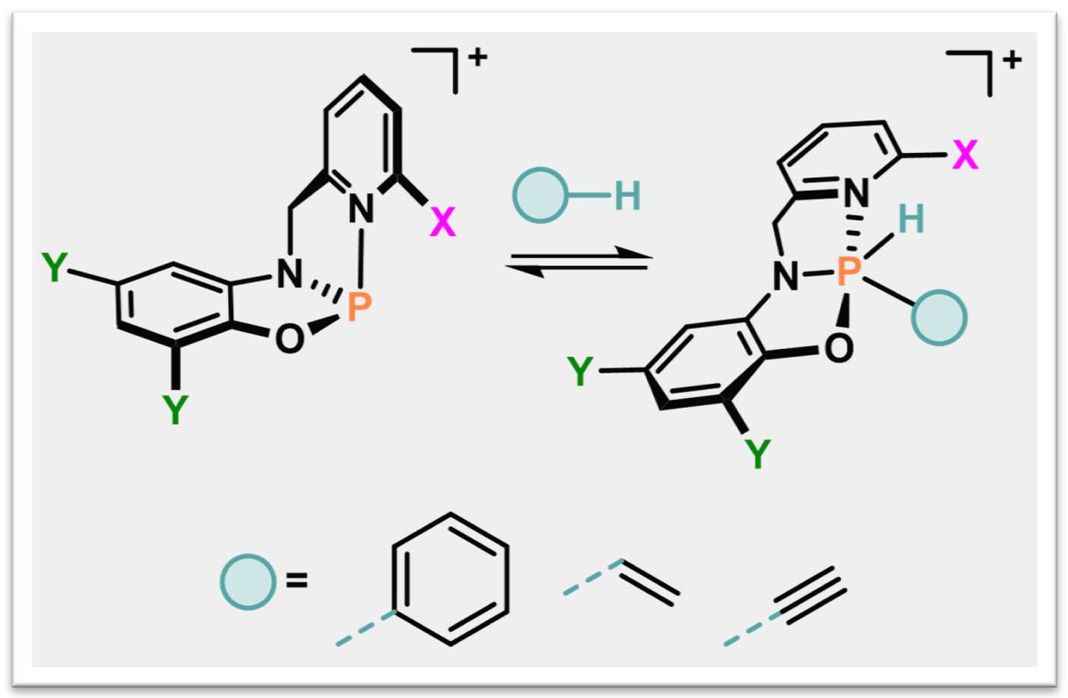 #OxidativeAddition and #ReductiveElimination of non-activated C-H bonds (e.g. #benzene!) at #phosphorus. Amazing work Daniel! Together with A. Radosevich @MIT now out in @acsJACS doi.org/10.1021/jacs.3…