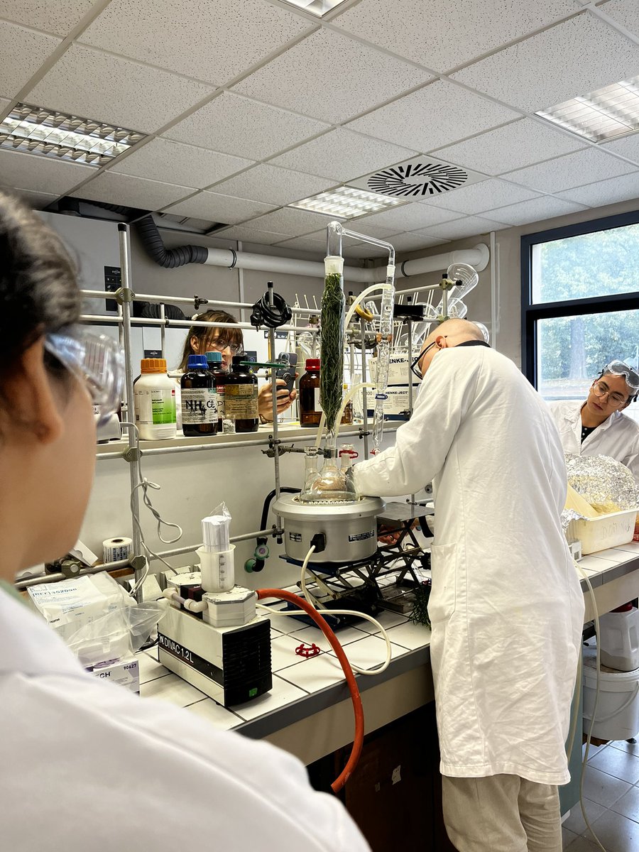 UVSQ_Research's tweet photo. Suite de la visite olfactive à l’@ILV_UMR8180 @uvsq avec @Vol_de_Nuit_333 et Julie C. Fortier : hydro-distillation, soit distillation par la vapeur. Essai avec le romarin. #Curiositas #sciences #arts #nez #parfum https://t.co/Cc4mfOCDeJ